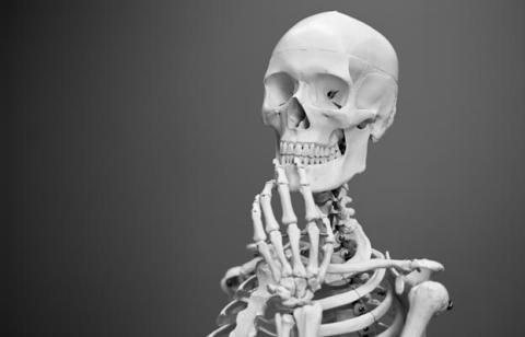 Skeleton