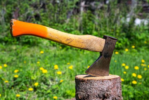 Ax in a stump
