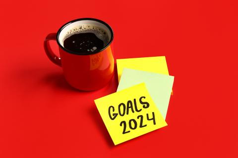 Goals 2024