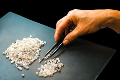 hand counting small items with tweezers