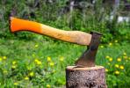 Ax in a stump