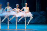 Ballerinas
